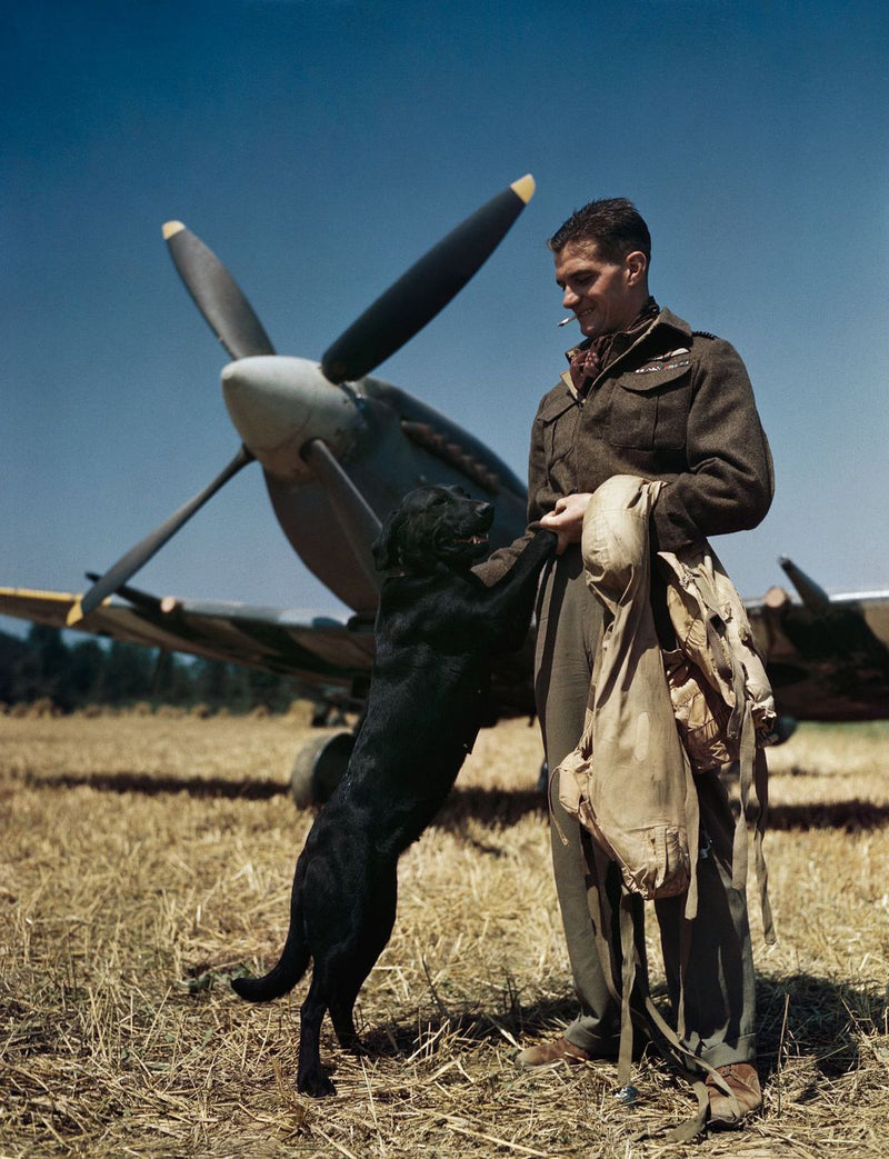 Johnnie Johnson - Top Scoring RAF Fighter Ace World War 2