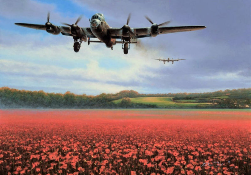 For Freedom by Richard Taylor -  Aviation Art