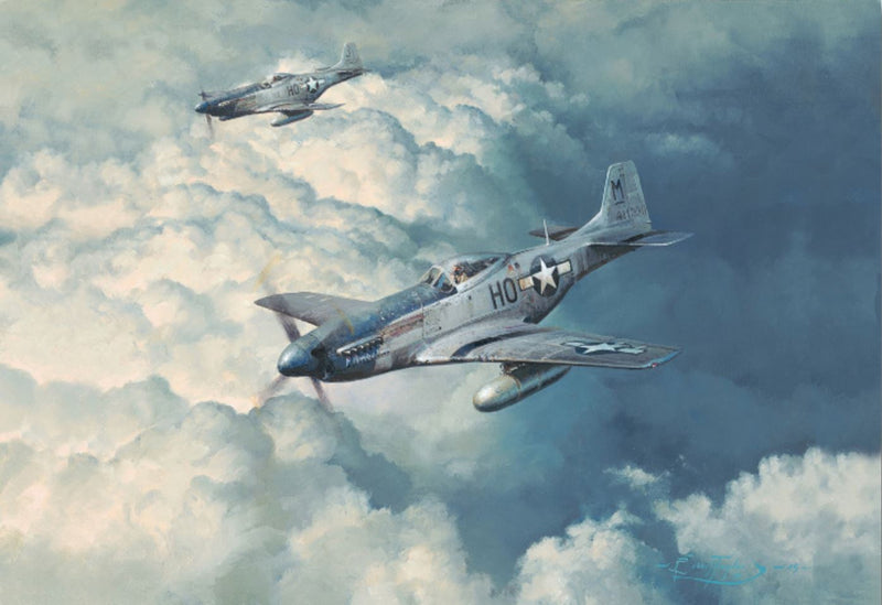 Looking For Trouble - Aviation Art of P-51 by Robert Taylor