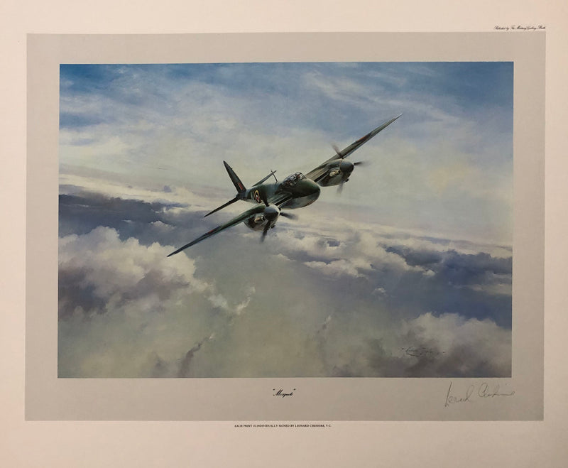 Into The Cloak Of Darkness by Nicolas Trudgian -  Aviation Art