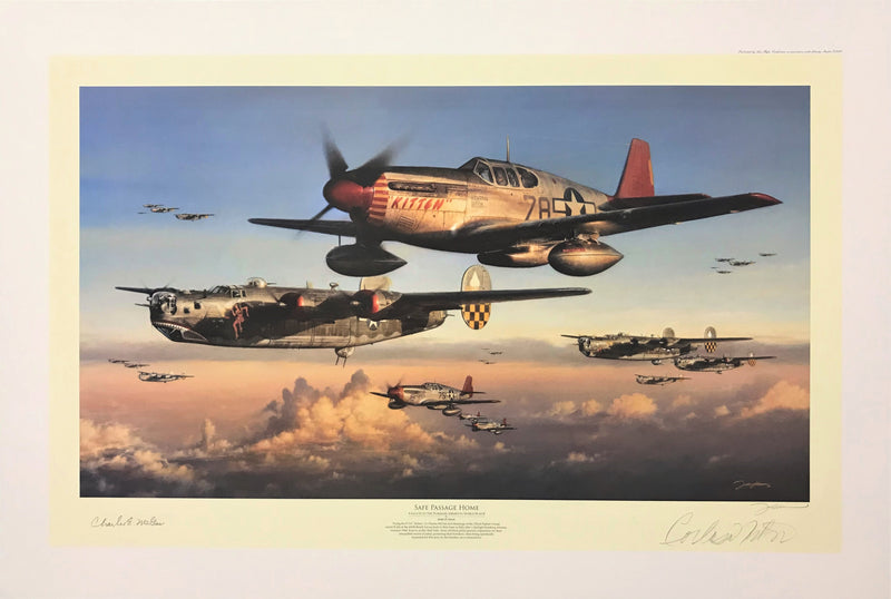 Safe Passage Home Print - Aviation Art by John Shaw