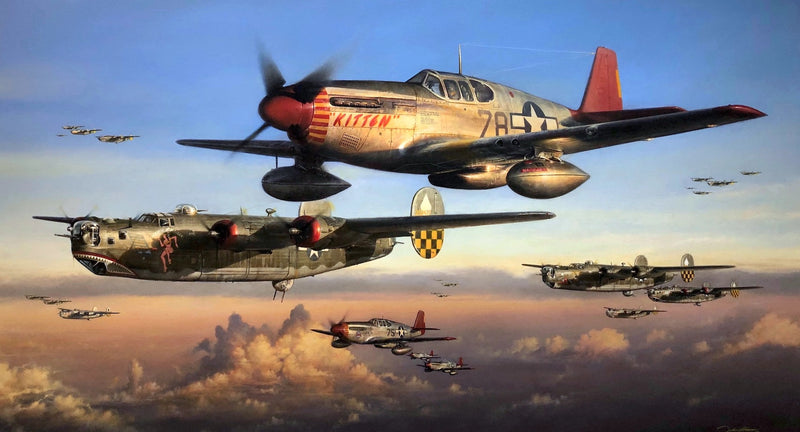 Safe Passage Home - Aviation Art by John Shaw