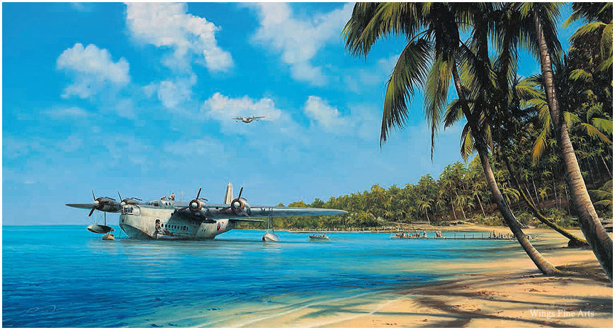 Tropical Duties by Richard Taylor - Aviation Art