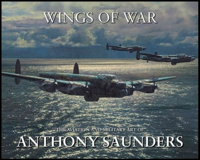Wings of War  by Anthony Saunders - Aviation Art