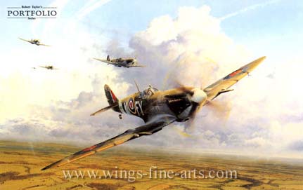After The Battle by Robert Taylor - Aviation Art
