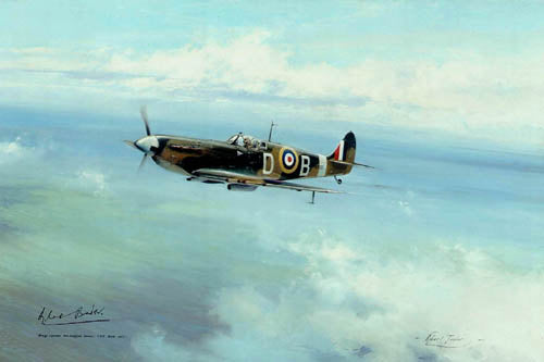 Bader Legend by Robert Taylor - Aviation Art
